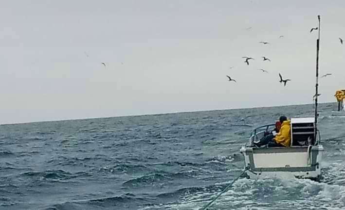 Pescadores de Santa Rosa son rescatados por sus similares de Manabí