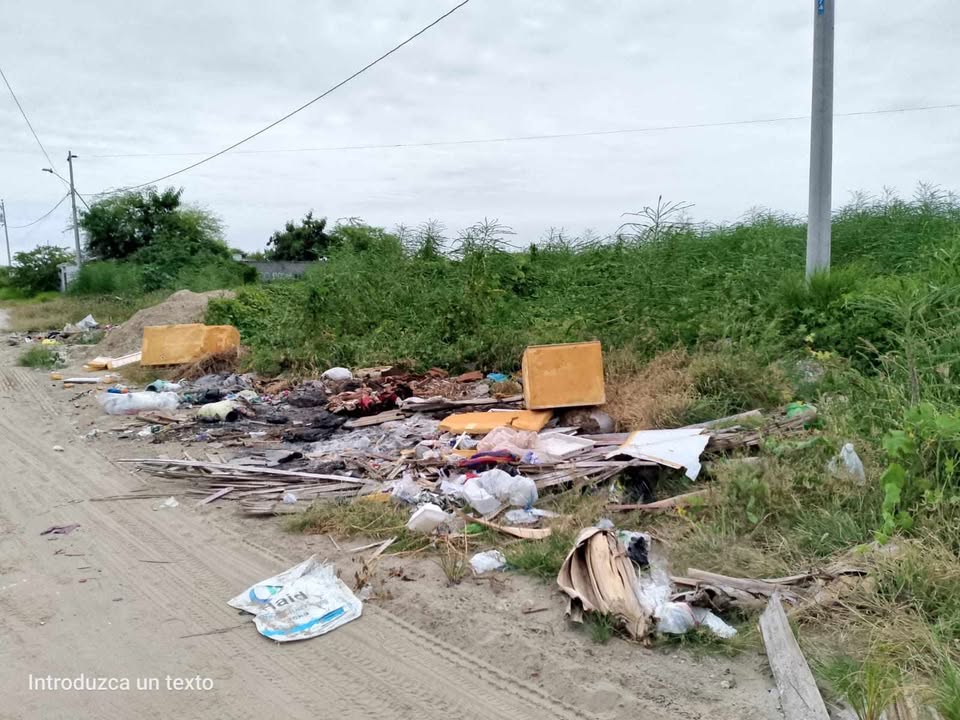 Ciudadano exige limpieza urgente en sector San Raymundo de Salinas