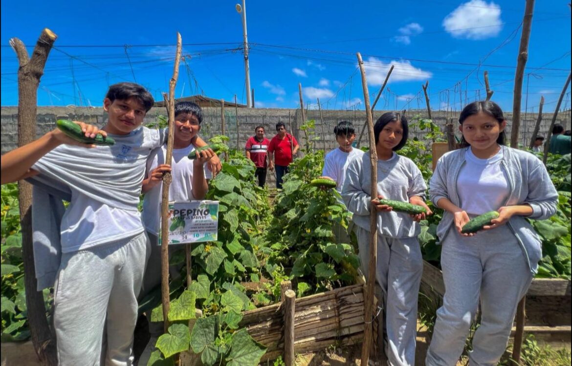Huertos escolares: sembrando esperanza y cosechando salud en Engunga