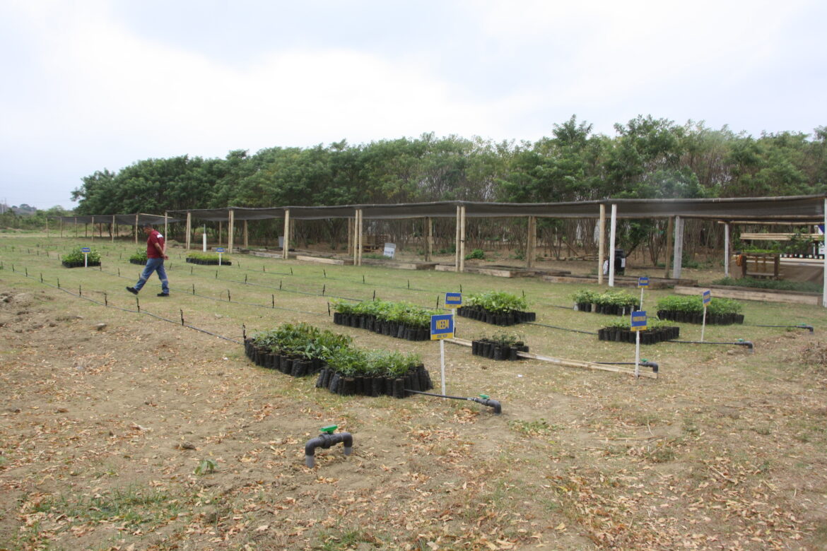 Santa Elena hace historia en la innovación agrícola del país