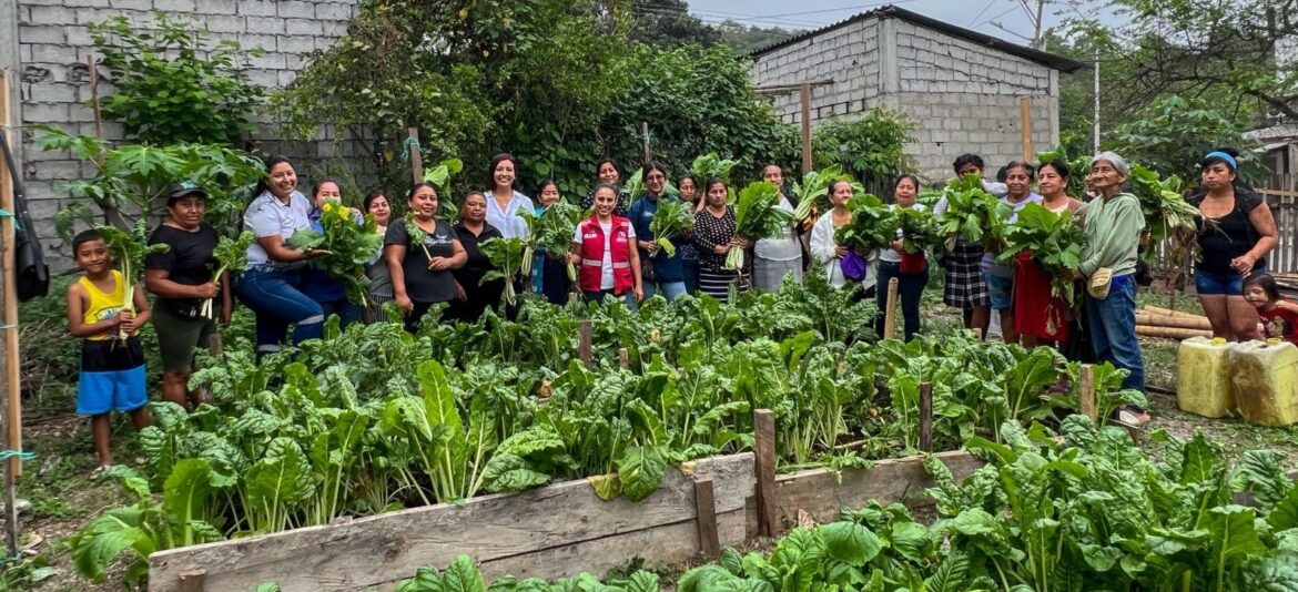 Huertas comunitarias impulsan la alimentación saludable en San José, al norte de la Península