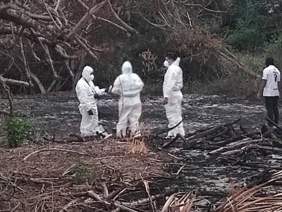 Hallan seis cuerpos en zona rural de la parroquia Colonche