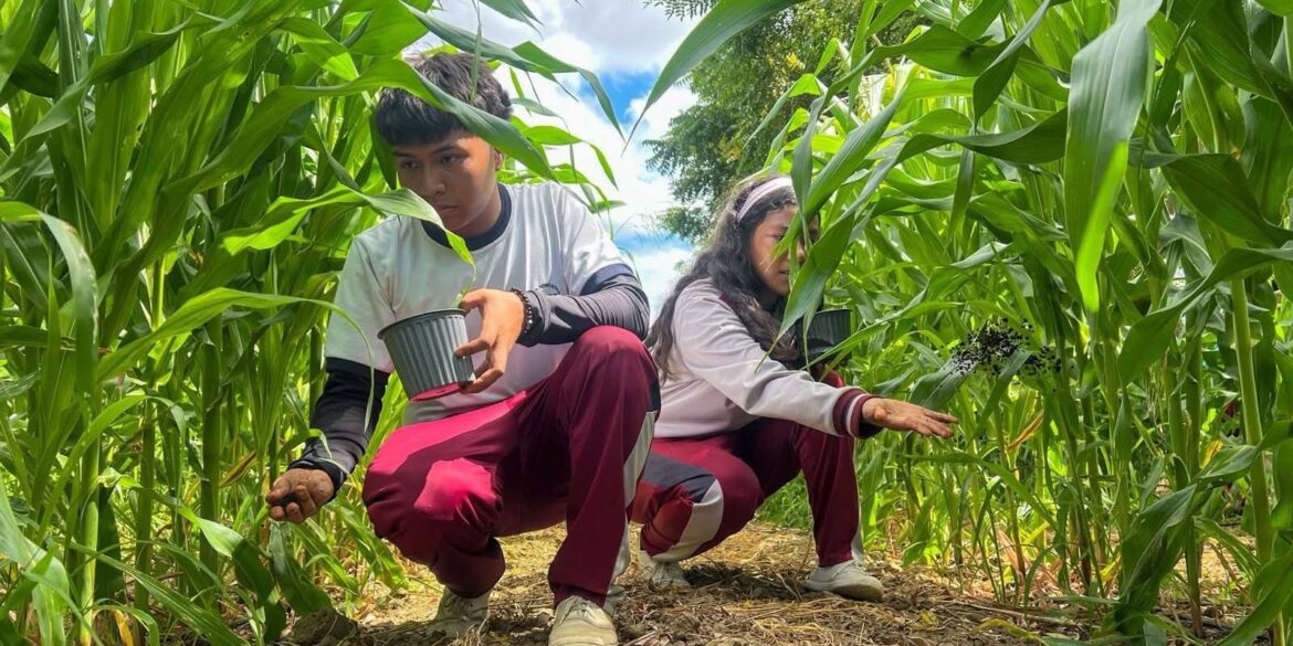 Prefectura de Santa Elena impulsa la agricultura sostenible con material orgánico