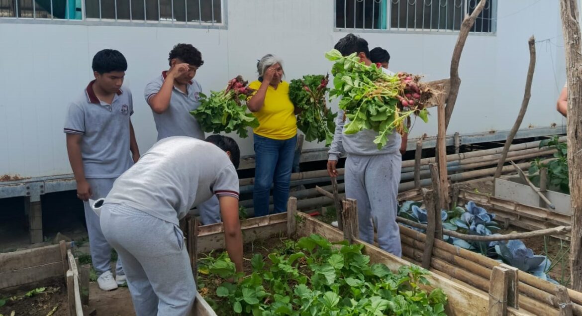 Jóvenes impulsan producción agroecológica en Engunga con apoyo de la Prefectura de Santa Elena