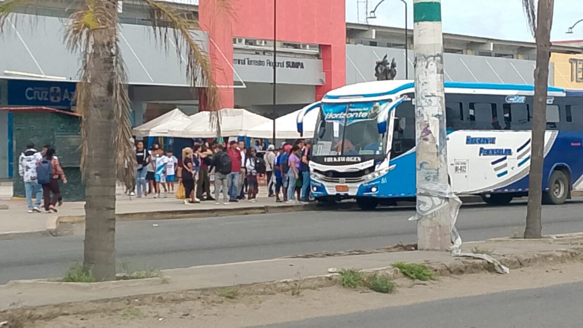 Continúa la paralización de buses que cumplen el recorrido en las líneas 7,8,9,12 y 14