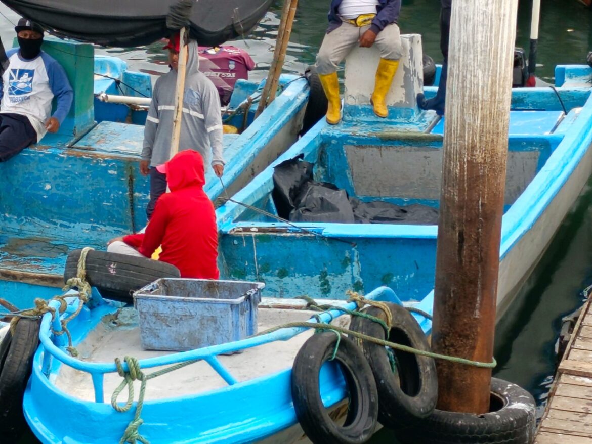 Restos humanos hallados por pescadores de Anconcito serán sometido a pericias.
