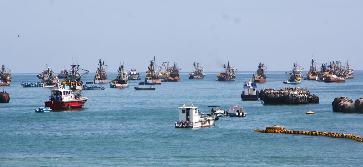 Alza en el valor del diésel paraliza la actividad de barcos ´chinchorreros´ en la Península